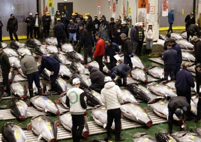 "참치 한 마리에 47억을 태워?"…새해 첫 경매서 역대 최고가 속출