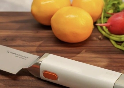 초음파 식칼, 소리 나는 레고…CES엔 이런 것도 있다 [테크토크]