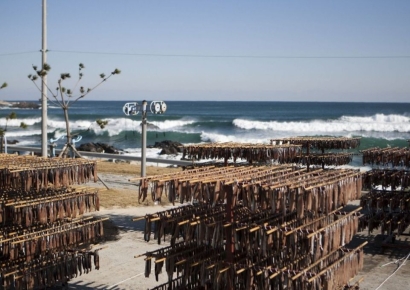 포항의 맛, TV 속으로… KBS2 신상출시 편스토랑 통해 전국에 소개