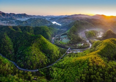 돌에 새긴 고래… 울산암각화박물관 ‘반구천의 암각화’ 세계유산 등재 후, 관람객 ‘물결’