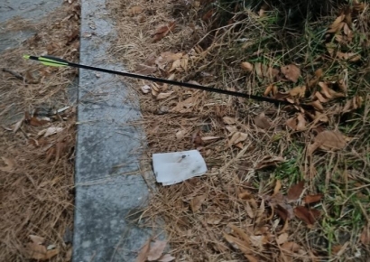 강아지와 산책하던 여성 주변에 화살 쏜 2명 찾았다…경찰 소환 통보