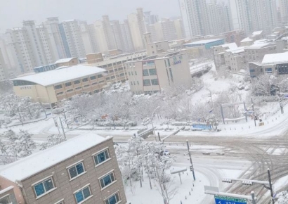 강추위 속 전남도청 19.7㎝ 눈 폭탄…바닷길 일부도 통제 