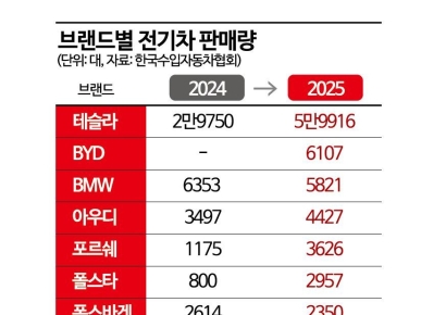 수입 신차 3대 중 1대 '전기차'…'독 3사' 따돌린 테슬라·BYD