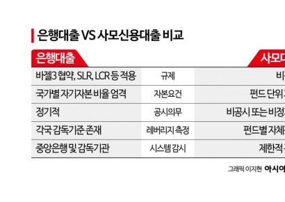 [사모대출 개화]③ 美 '규제 사각지대' 우려…시장초기 韓 리스크 신경써야