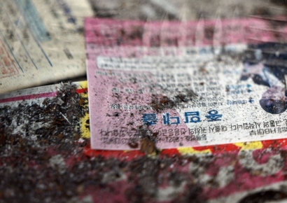 "불법 채권추심 피해자 더 세게 보호한다"…정부 맞춤형 지원 나서