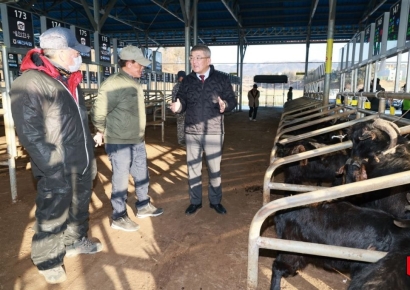 ‘개 식용 이후’를 준비한 현장…예천, 염소로 축산의 길을 다시 묻다