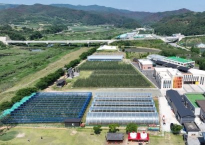 청송군, 2026 농정 로드맵 공개… 목표는 ‘미래농업, 부자청송’