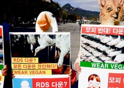 "산채로 껍질 벗기고 깃털 뽑고"…동물단체, '모피 반대' 캠페인 벌여