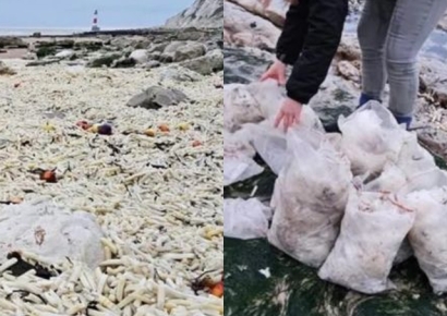 "이런 광경은 처음" 모래사장인 줄 알았는데…바다 떠돌다 밀려온 감자칩