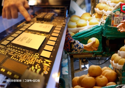 "겨울 과일값 뛰고 반도체 가격 올라"… 생산자물가 넉달째 상승