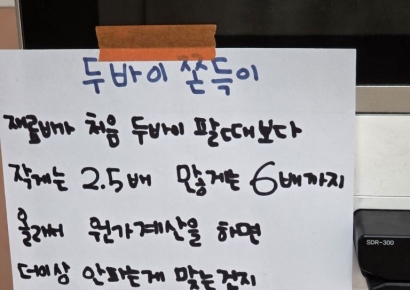 '큰 손' 등장에 가격 요동치나…이미 한우보다 비싼 '두쫀쿠' 향방은