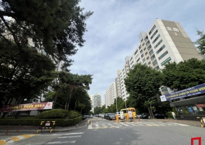 개포 경우현 추진위원장 선거전…쟁점은 '독립정산제'[부동산AtoZ]