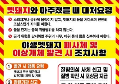멧돼지 발견 시 행동요령, '소리 지르거나 등 보이고 뛰지 않기'
