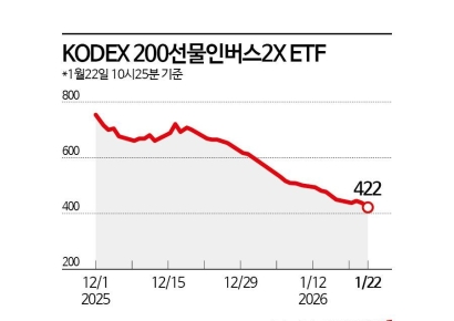 하락장 베팅한 개인 '망연자실'…상승장에 거꾸로 가는 인버스 ETF 