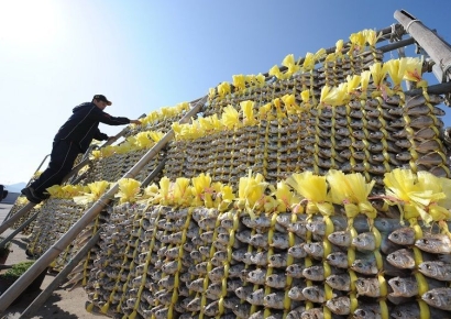 <기획> 바람이 맛이 되는 '굴비'…전남 영광에서 만나다
