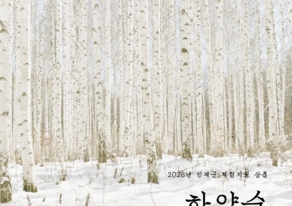 인제군, 자작나무숲과 농촌의 만남…‘하얀숲·하얀겨울’ 체류형 여행상품 운영