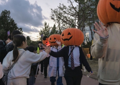 경주엑스포 입장객 작년 54만명 기록…외부 방문객 40.6%는 경주 숙박