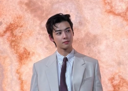 '200억 탈세' 의혹 차은우, 형사 처벌 가능성도