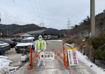 전남 최초 아프리카돼지열병 감염…영광 유입 경로는 '미스터리'
