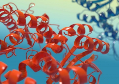 단백질 구조 빅데이터 '정렬 고속도로' 열렸다…질병 연구 판 바꾼다[과학을읽다]
