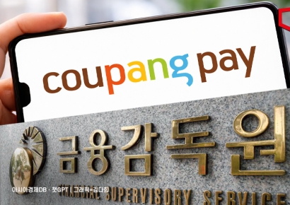 금감원, 쿠팡페이·파이낸셜 검사 재연장… "위규 사항 정밀 점검"