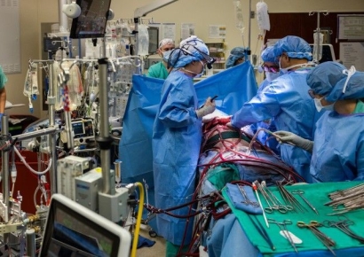 폐 없이 48시간 버텼다…인공 폐로 생명 유지 후 이식 성공