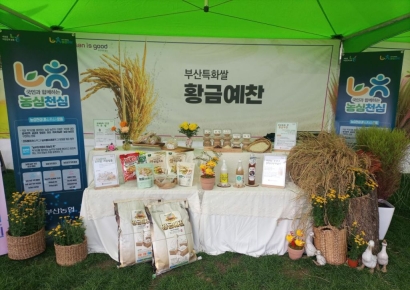 부산 특화 벼 '황금예찬' 계약재배 수요조사 시작