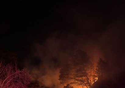 강원 동해시 달방동 산불 1시간여 만에 주불 진화…뒷불 감시 중