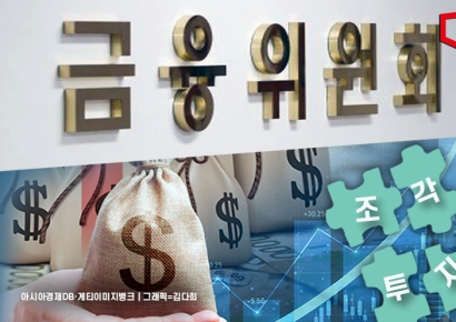 "이래도 저래도 욕먹는다" 금융위, 조각투자거래소 인가 '진퇴양난'