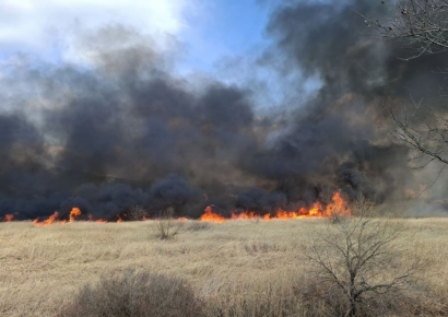 창원 대산면 수산대교 인근 갈대밭 화재 … 진화 중