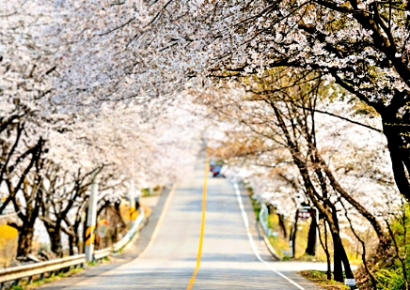 "매달 15만원씩" 소득·연령 제한 없는 지원금 덕에…전입 '껑충'