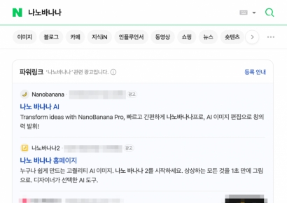 포털에 '나노 바나나' 검색했더니 짝퉁이 맨 위에