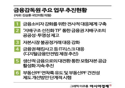금감원 국회 업무보고 키워드는?…'소비자보호·지배구조·리스크 관리'