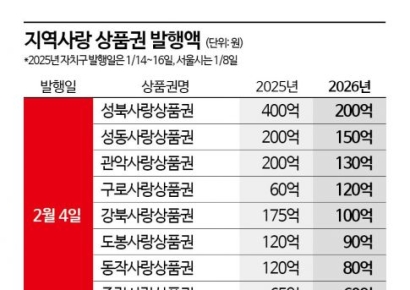 "골목상권 영향 실감"…지역사랑상품권, 강남구 600억 발행 '플렉스'