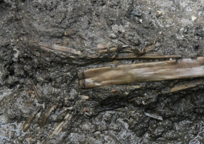 1500년 전 백제 '횡적', 왕궁 화장실서 발견…국악기 '소금' 원형 찾아(종합)