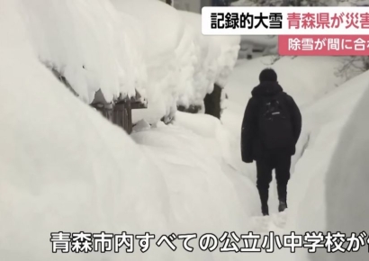 "괜히 갔다가 큰일 날라" 무서워서 여행 포기…폭설에 30명 숨지고 난리난 日