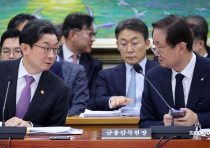 [단독]금융사 지배구조 개선안, '사외이사 단임제' 제외…CEO 추천 '전원 서명제' 의무화