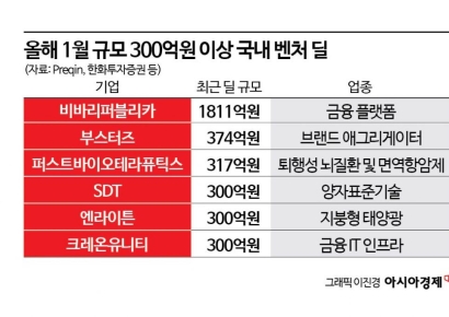 후기 기업 쏠리는 VC투자금…유니콘 몸값만 '껑충'