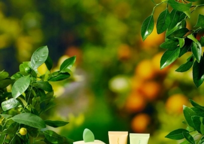 "올리브영이 만든 K뷰티"…글로벌 승부수 띄웠다