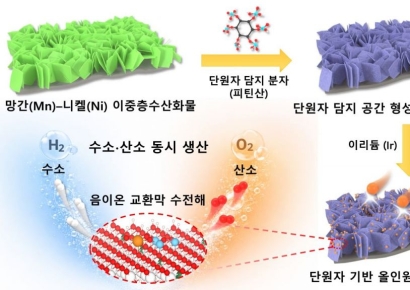 원자 하나로 수소·산소 동시에 만든다[과학을읽다]