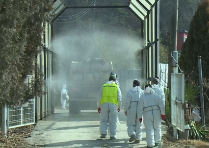 경남 창녕 아프리카돼지열병 발생…15건으로 늘어