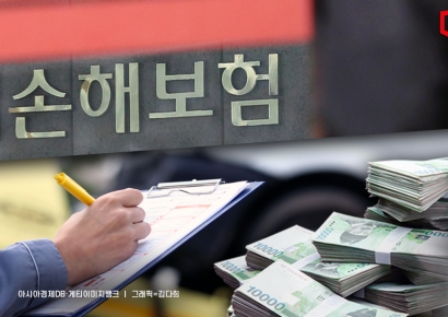 실적 둔화에도 배당 늘린 손보사… 확산은 쉽지 않다