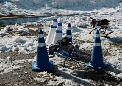 [노필터 로봇]얼음위에서 멈추고 넘어지고… 로봇개 좌충우돌 레이스