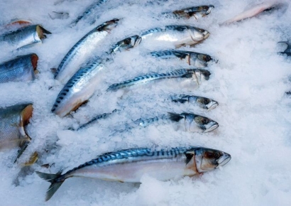 "많이 잡힌다면서 가격 왜 이래?"…3000원 하던 국민생선 7000원 넘었다