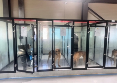 문 앞에서 머뭇거리더니 "구린내 너무 심해"…봉사 온 40명 학생들 태도 논란