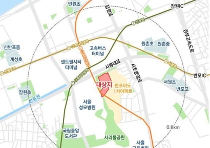 최고 46층 아파트로 탈바꿈…반포미도2차 재건축 정비계획 수정가결