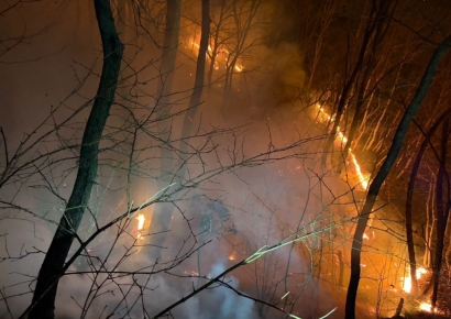 소방당국 "경주시 문무대왕면 산불, 국가동원령 발령"