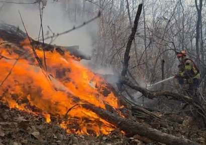 경주 문무대왕면 산불, 20여시간 만에 주불 진화