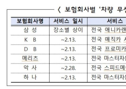설 귀성길 전 보험부터…'무상점검서비스·운전자 범위' 점검 필수