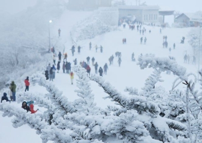 "덕유산 등산 갔다가 숙소 못 구해"…50대 아버지·10대 아들 사망